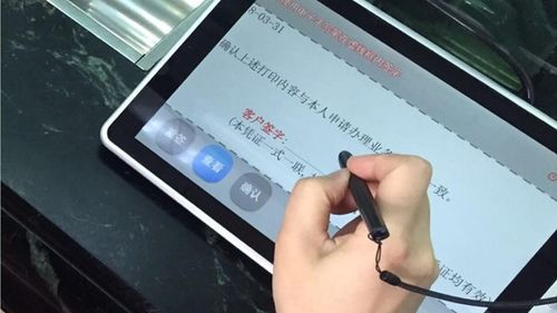 澎湃新闻 专注时政与思想 thepaper.cn